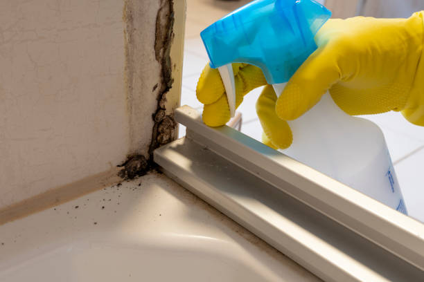 Best Mold Remediation for Vacation Homes  in Soperton, GA